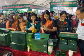 Các gian hàng trưng bày nhiều sản phẩm đặc sản, độc đáo. 