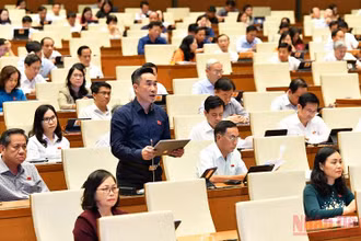 Đại biểu Quốc hội thảo luận ở hội trường về dự án Luật Phòng, chống bạo lực gia đình (sửa đổi) chiều 14/6. (Ảnh: THỦY NGUYÊN)
