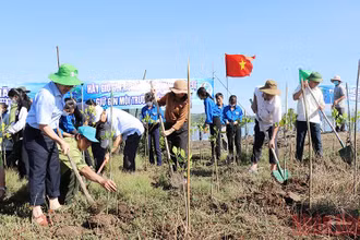 Các đại biểu tham gia trồng cây tại khu vực danh thắng quốc gia đầm Ô Loan, huyện Tuy An, Phú Yên.