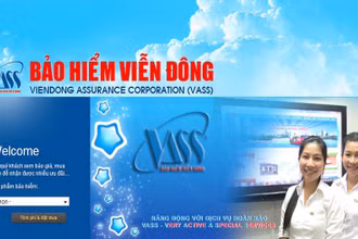 Công ty cổ phần Bảo hiểm Viễn Đông vừa được cấp mã chứng khoán IFA. (Ảnh minh họa)