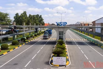 Một góc khu công nghiệp Việt Nam-Singapore 2 (VSIP 2) tại Bình Dương.