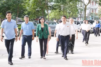 Đoàn giám sát của Hội đồng nhân dân TP Hà Nội khảo sát thực địa tại quận Thanh Xuân.