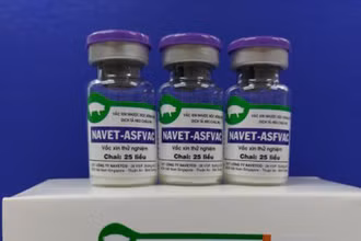NAVET-ASFVAC của Công ty NAVETCO là vaccine đầu tiên được phép lưu hành thương mại. (Ảnh: Công ty Navetco)