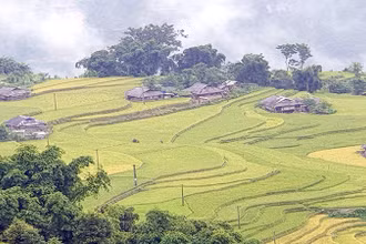 Bản Phùng, huyện Hoàng Su Phì, Hà Giang, là địa chỉ hấp dẫn du khách. (Ảnh minh họa)