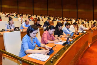 Các đại biểu Quốc hội tham gia thảo luận tại hội trường ngày 3/6. (Ảnh: LINH KHOA)