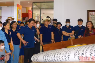 Khách du lịch đến tham quan Bảo tàng Quảng Bình.