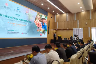 Thứ trưởng Thông tin và Truyền thông Phạm Anh Tuấn phát biểu khai mạc Diễn đàn.