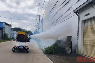 Phun hóa chất diệt muỗi tại thành phố Biên Hòa, tỉnh Đồng Nai.