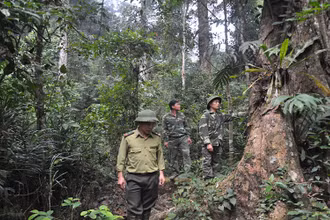 Lực lượng kiểm lâm tỉnh Tuyên Quang tăng cường tuần tra, bảo vệ rừng.