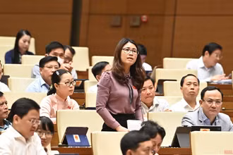 Đại biểu Đinh Thị Ngọc Dung chất vấn Bộ trưởng Tài chính về vấn đề giá sách giáo khoa. (Ảnh: LINH NGUYÊN)