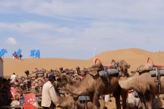Sa mạc Tengger (hay Tenggeli theo phiên âm tiếng Trung Quốc) nằm giữa ba địa phương là khu tự trị dân tộc Hồi Ninh Hạ, khu tự trị Nội Mông Cổ và tỉnh Cam Túc, có diện tích 43.000 km2.