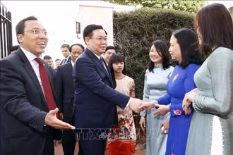 Cán bộ, nhân viên Đại sứ quán và cộng đồng người Việt tại Vương quốc Anh đón Chủ tịch Quốc hội Vương Đình Huệ. (Ảnh: Doãn Tấn/TTXVN)