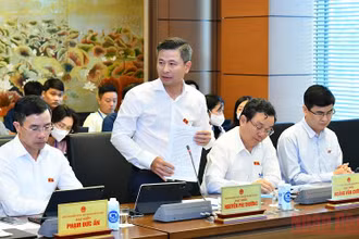 Đại biểu Nguyễn Phi Thường (Hà Nội) phát biểu thảo luận tại tổ về dự án Luật Thực hiện dân chủ ở cơ sở. (Ảnh: KHOA NGUYÊN)