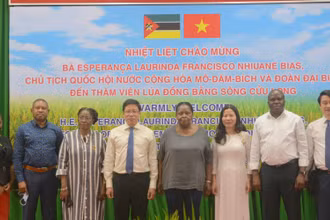 Đoàn đại biểu cấp cao Quốc hội Cộng hòa Mozambique chụp ảnh lưu niệm với lãnh đạo Viện lúa đồng bằng sông Cửu Long.