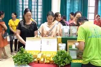 Hằng năm, tỉnh Thái Nguyên hỗ trợ gian hàng giới thiệu, bán sản phẩm OCOP cho các chủ thể.