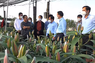 Lãnh đạo huyện Thạch Thất đi thăm mô hình sản xuất.