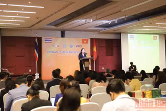 Toàn cảnh diễn đàn.