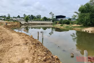 Khu vực đất Công ty TNHH Thái Bình lấn chiếm.