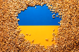 Ảnh minh họa: Hạt lúa mì trên nền cờ Ukraine. (Nguồn: Reuters)