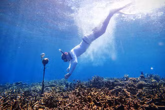 Một nhà nghiên cứu lắp đặt đầu thu sóng trong nước (hydrophone) ở biển thuộc quần đảo Spermonde, Indonesia. Ảnh: Tim Lamont, Đại học Exeter, Anh.