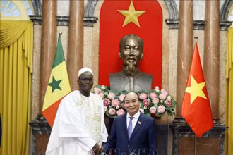 Chủ tịch nước Nguyễn Xuân Phúc tiếp Đại sứ Cộng hòa Senegal Abdoulaye Barro. (Ảnh: TTXVN)