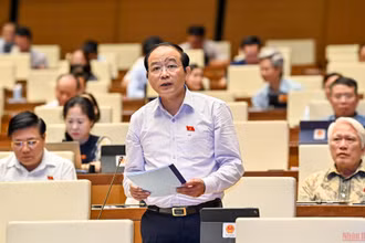 Đại biểu Lã Thanh Tân phát biểu tại phiên thảo luận của Quốc hội chiều 10/6. (Ảnh: LINH NGUYÊN)