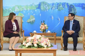 Thủ tướng Phạm Minh Chính tiếp Đại sứ Ai Cập tại Việt Nam Amal Abdel Kader Elmorsi Salama. 