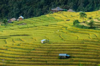 Khu ruộng bậc thang ở Mae Chaem, Chiang Mai, một trong những địa điểm quay phim được ưa chuộng tại Thái Lan. (Ảnh: Bưu điện Bangkok)