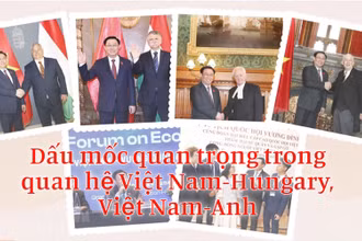 Dấu mốc quan trọng trong quan hệ Việt Nam-Hungary, Việt Nam-Anh