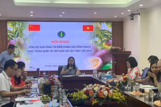 Cục Bảo vệ thực vật công bố xuất khẩu thí điểm chanh leo chính ngạch sang Trung Quốc chiều 7/7.