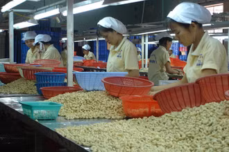 Doanh nghiệp gặp khó trong tìm đơn hàng xuất khẩu hàng hóa.