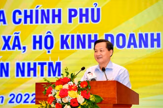 Phó Thủ tướng Lê Minh Khái phát biểu chỉ đạo tại Hội nghị.
