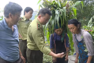 Cán bộ Hạt kiểm lâm huyện Đồng Văn tuyên truyền người dân không săn bắt, bẫy đàn khỉ.