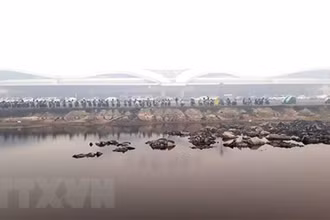 Một góc đảo Kalimantan, nơi được chọn để xây dựng thủ đô mới của Indonesia. (Ảnh: AFP/TTXVN)