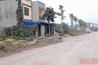 Mặc dù hạ tầng chưa hoàn thiện, nhưng một số lô đất đã được người dân xây nhà sinh sống lâu dài. 
