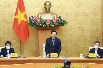 Phó Thủ tướng Thường trực Chính phủ Phạm Bình Minh phát biểu tại Hội nghị.
