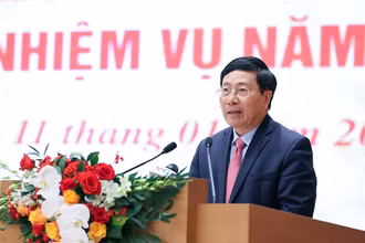 Phó Thủ tướng Phạm Bình Minh phát biểu ý kiến tại hội nghị. (Ảnh: baochinhphu.vn)
