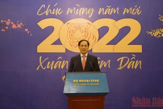 Bộ trưởng Ngoại giao Bùi Thanh Sơn phát biểu ý kiến tại cuộc gặp. (Ảnh: XUÂN TRƯỜNG)