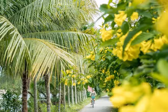 Một con đường tại Cần Thơ. Ảnh: TTXVN