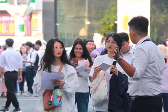 Sinh viên Ðại học Quốc gia TP Hồ Chí Minh. 