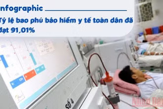 Đồ họa: Trần Hải - Phương Nam.