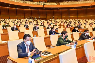 Các đại biểu Quốc hội tham gia biểu quyết thông qua Nghị quyết về thí điểm một số cơ chế, chính sách đặc thù phát triển thành phố Cần Thơ. (Ảnh: LINH KHOA)