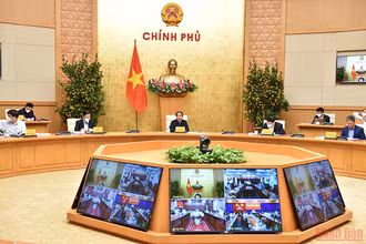 Quang cảnh buổi họp trực tuyến. (Ảnh: Đức Tuân) 