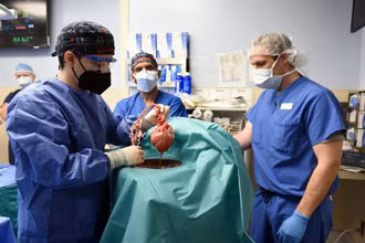 Ca cấy ghép tim lợn cho ông David Bennett diễn ra vào ngày 7/1, tại Baltimore, bang Maryland. (Ảnh do Trung tâm y tế Đại học Maryland cung cấp)