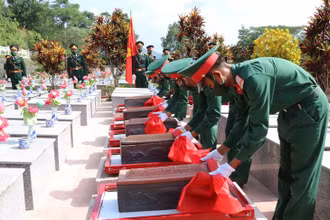 Ảnh minh họa. (Nguồn: TTXVN)