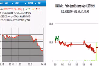 Diễn biến VN-Index và HNX-Index, phiên giao dịch ngày 7-9. 
