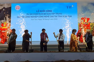 Khởi công dự án chăn nuôi bò sữa công nghệ cao lớn nhất Tây Nguyên