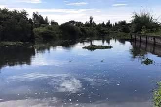 Một trong những dòng kênh tại khu công nghiệp bị ô nhiễm, gây mùi hôi thối.