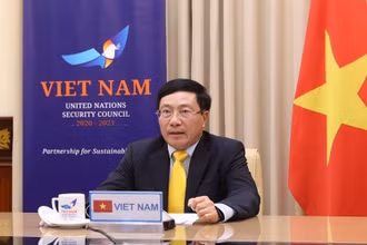Phó Thủ tướng, Bộ trưởng Ngoại giao Phạm Bình Minh. (Ảnh: TTXVN)