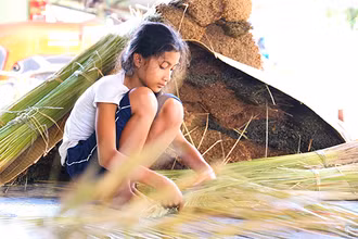 Thị Vi An, mới 11 tuổi nhưng cô bé đã thành thục nghề đan cỏ bàng.